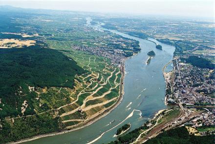 Rhein mainer partnersuche